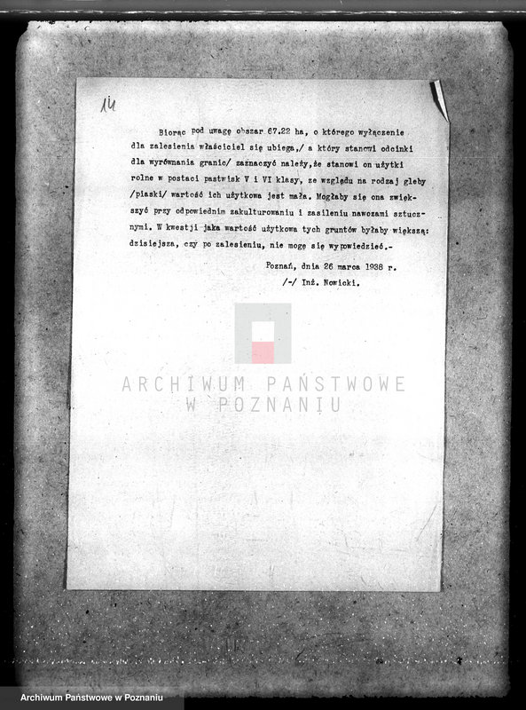 Obraz 18 z jednostki "Majątek Wierzbiczany w powiecie inowrocławskim /nadzór nad gospodarką leśną"