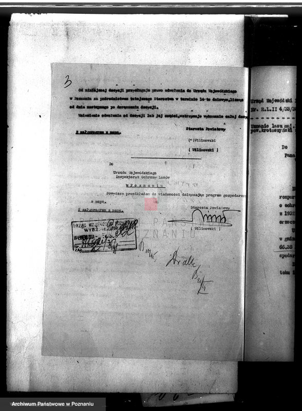 Obraz 7 z jednostki "Las majątku Lipowiec powiat krotoszyński"