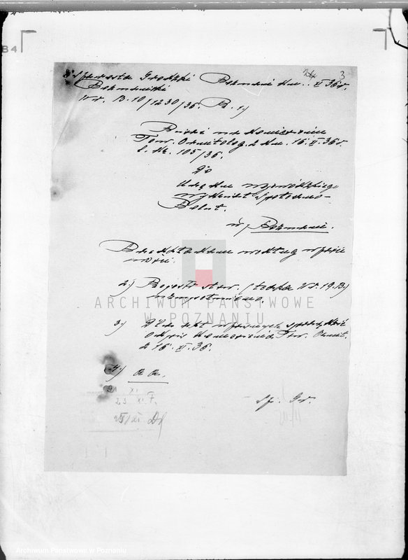 Obraz 7 z jednostki "/Towarzystwo Ornitologiczne w Poznaniu/"