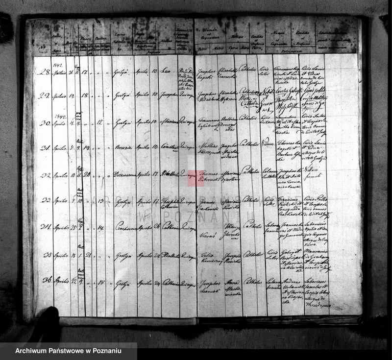 image.from.unit.number "Liber baptisatorum, copulatorum, mortuorum"