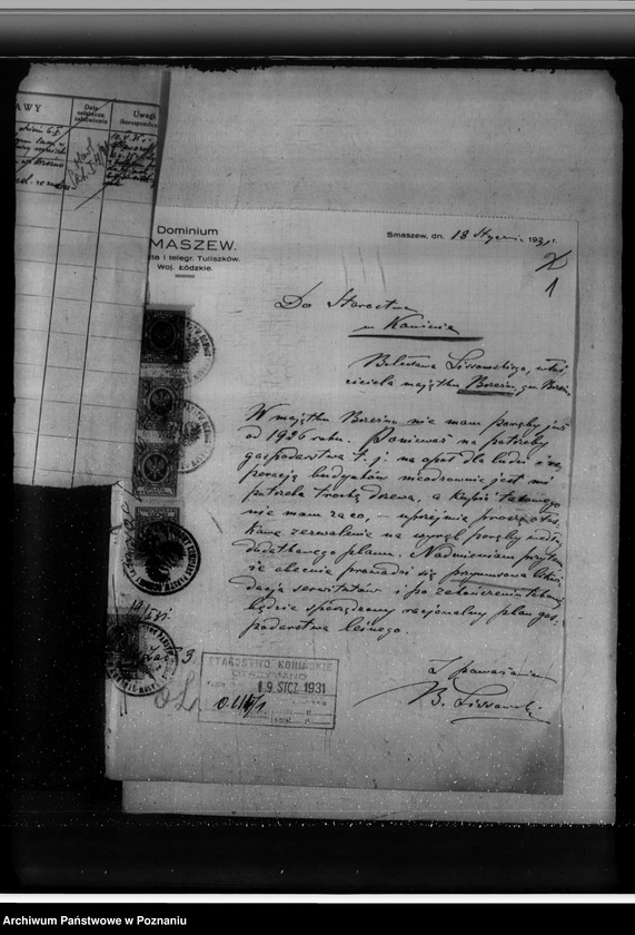 Obraz 5 z jednostki "Lasy majątku Brzeźno powiat koniński"