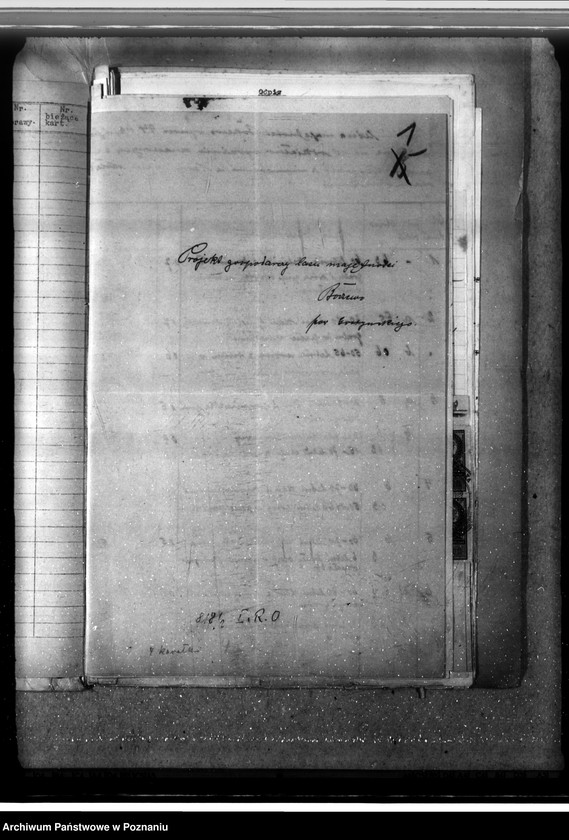 Obraz 5 z jednostki "Las fundacyjny Bodzewo w powiecie gostyńskim"