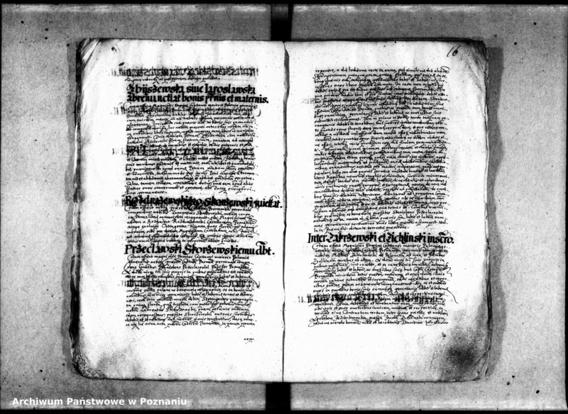 Obraz 19 z jednostki "Inscriptiones [inducta]"