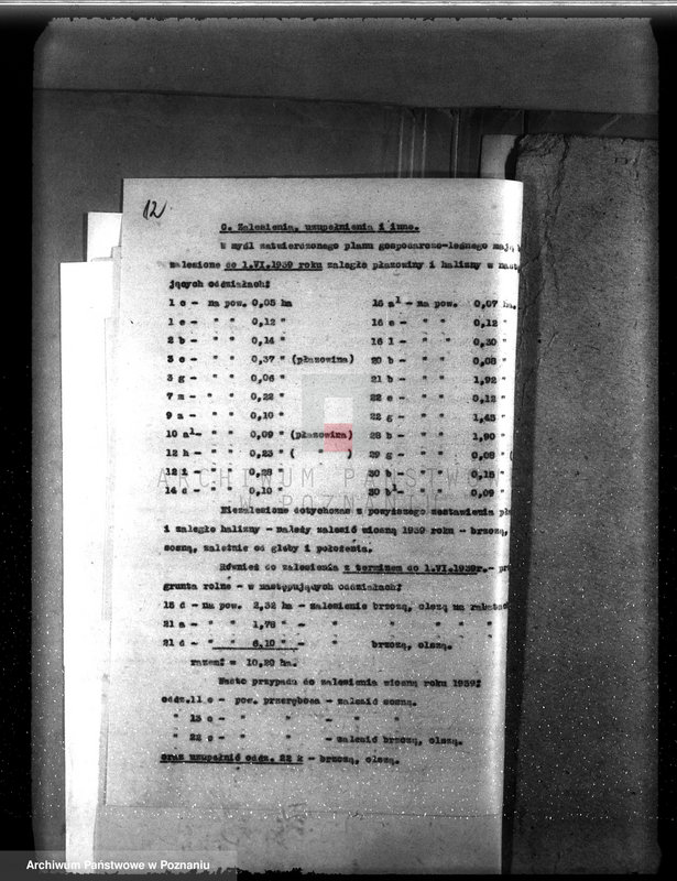 Obraz 16 z jednostki "Majętność leśna Bronisław powiat Środa"