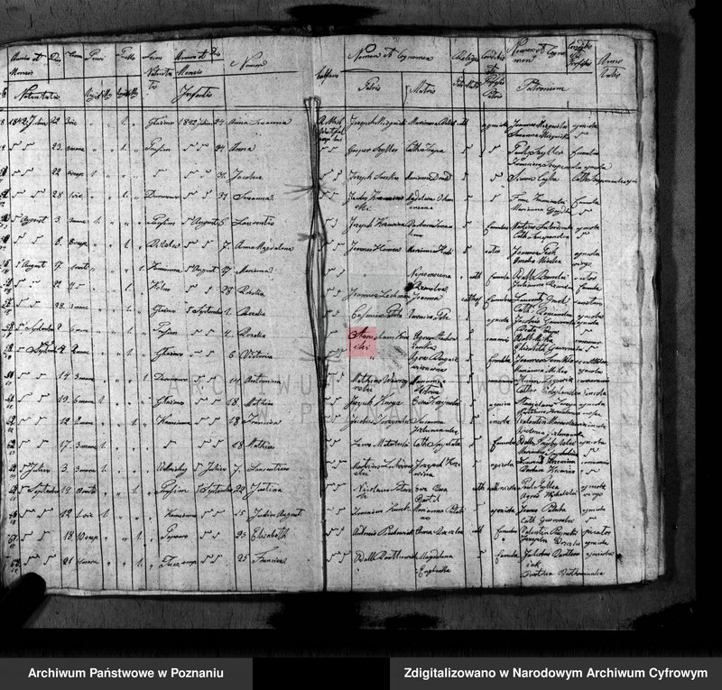 image.from.unit.number "Duplikat baptisatorum, copulatorum, mortuorum"