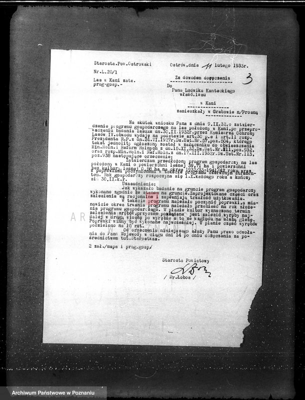 Obraz 6 z jednostki "Nadzór nad gospodarką w lasach L. Kanteckiego Kania powiat ostrowski"