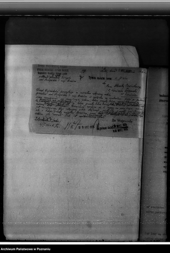 Obraz 12 z jednostki "Gmina Brzeźno powiat koniński /nadzór nad gospodarką leśną/"