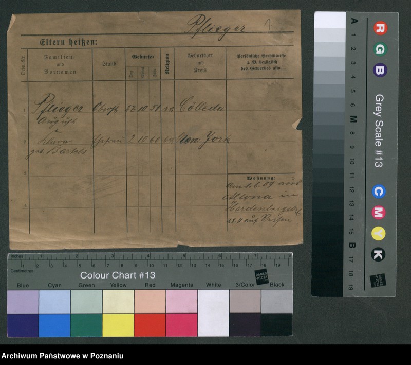 Obraz 3 z jednostki "Pflieger - Piasecki"