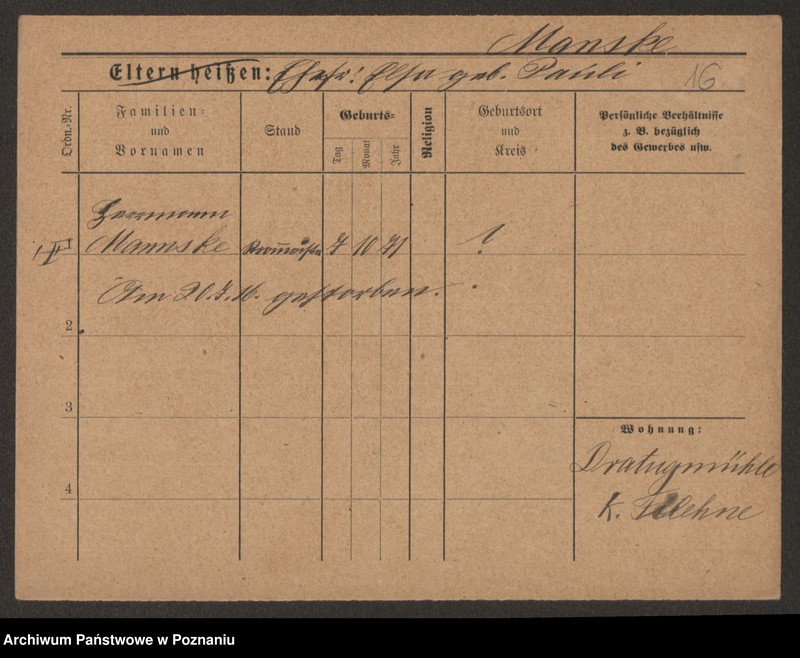 Obraz 18 z jednostki "Manska - Marcinek"