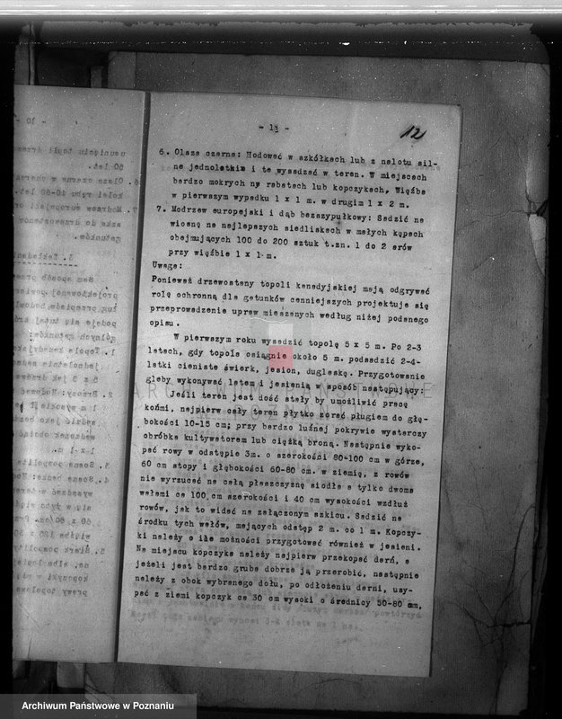 Obraz 20 z jednostki "Dodatkowy plan urządzenia gospodarstwa leśnego majątku Śródka powiat międzychodzki"