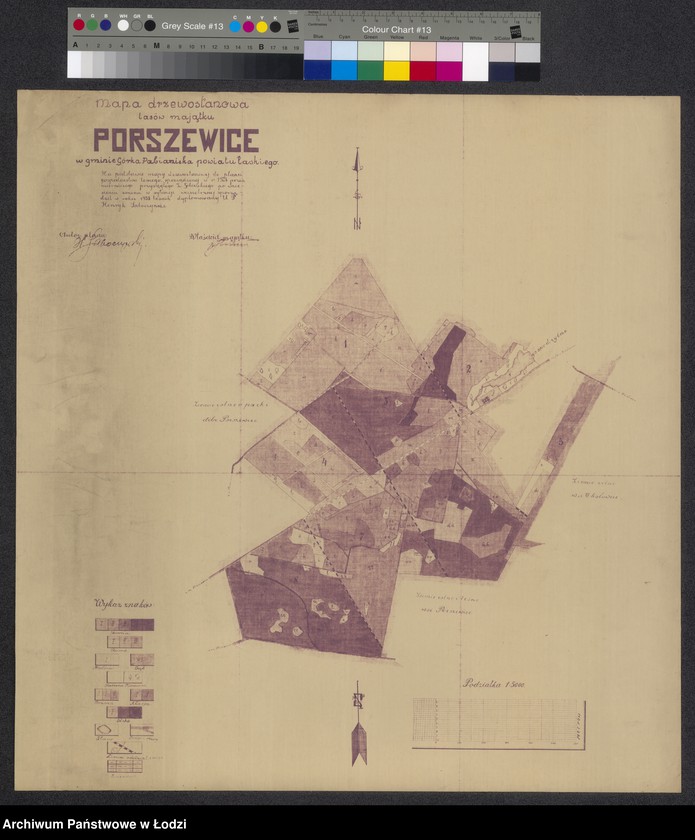 Obraz 1 z jednostki "Mapa drzewostanowa lasów majątku Porszewice w gminie Górka Pabianicka powiatu łaskiego"
