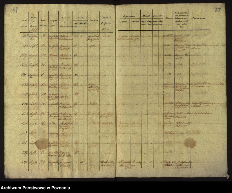 Obraz 13 z jednostki "Księga zgonów"