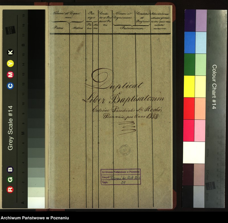 Obraz 3 z jednostki "Duplicat baptisatorum, copulatorum, mortuorum"