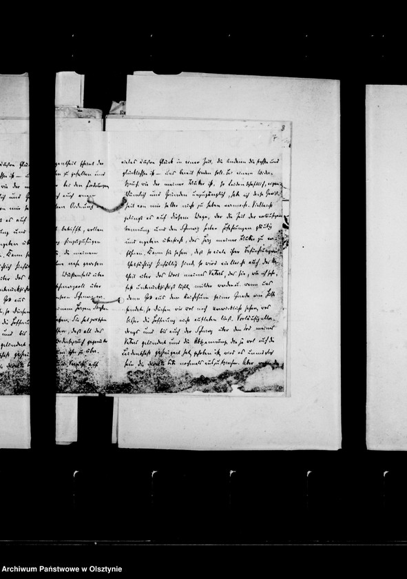 image.from.unit.number "/Briefe des Hauslehrers Dr. G. Molwitz an Anna Gfin Lehndorff/"