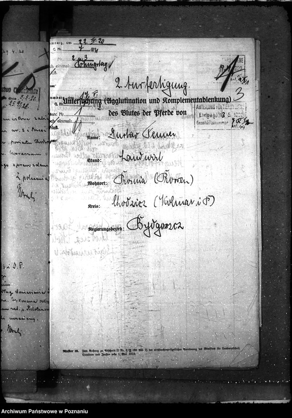 Obraz 8 z jednostki "Nosacizna - Chodzież"