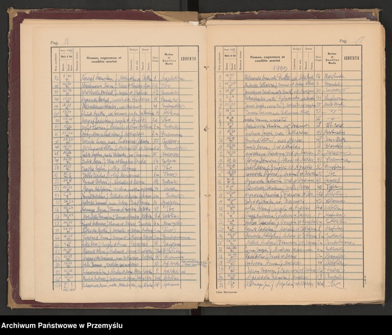 image.from.unit.number "Księga zgonów - wpisy dla miejscowości Lubaczów, Ostrowiec, Krowica, Lisie Jamy, Dąbrowa, Opaka, Dąbków, Załuże, Młodów-Antoniki - odpis"