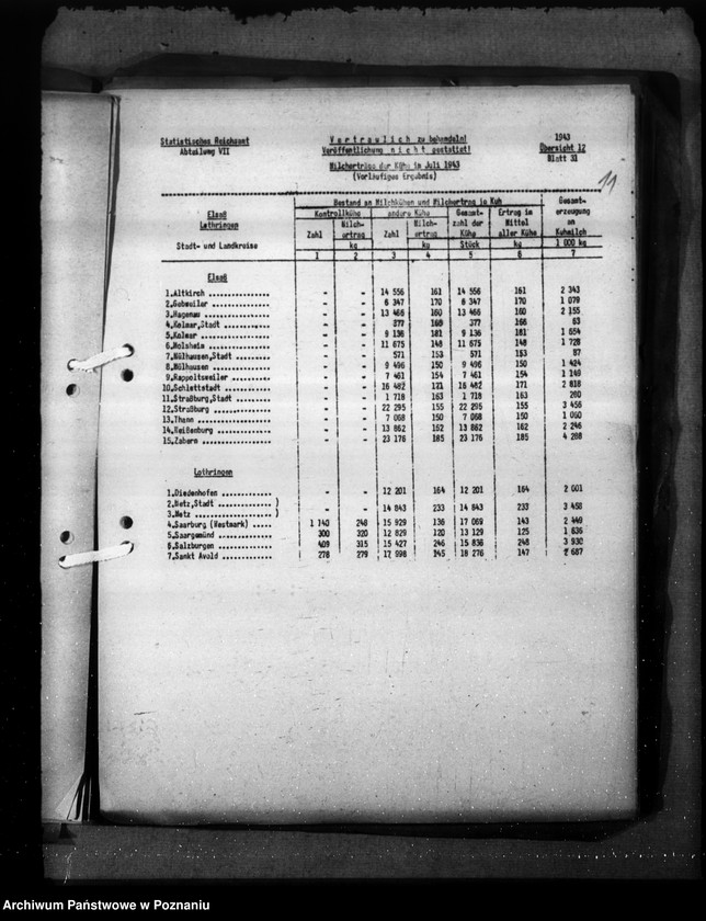 Obraz 15 z jednostki "Elsass - Lothringen"