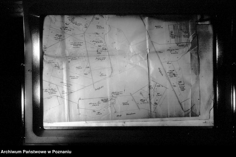 Obraz 16 z jednostki "Rejestr upraw i zasiewów dokonanych w jesieni 1935 r. w majątku Kotomierz powiatu bydgoskiego"