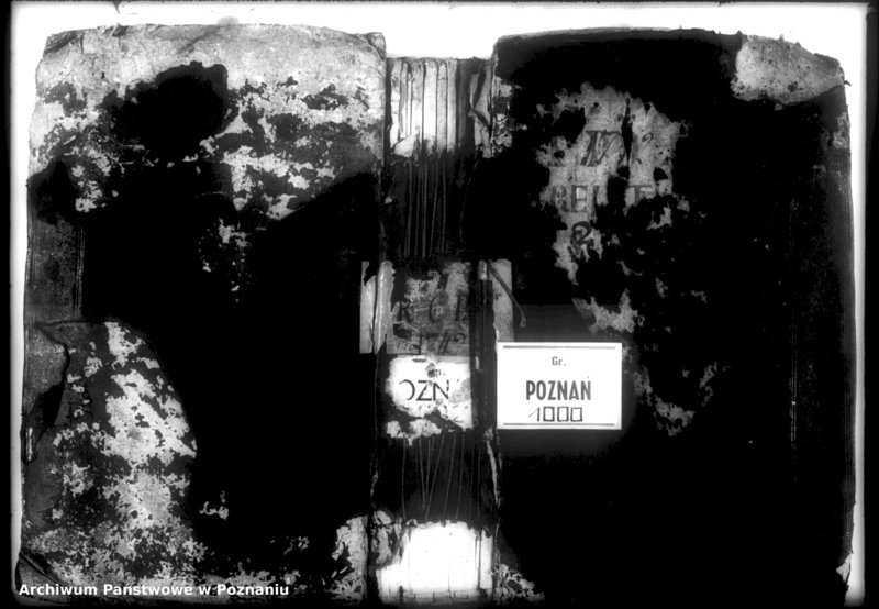 Obraz 3 z jednostki "Relationes [protocollon]"