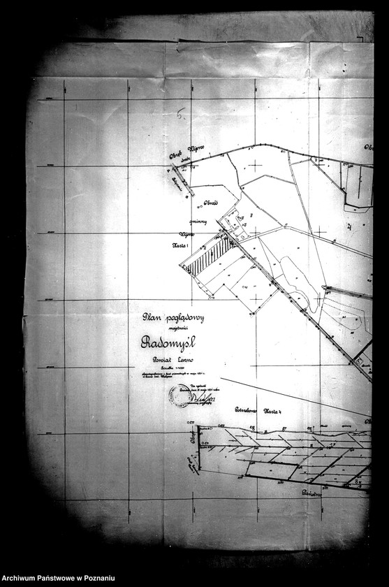 Obraz 11 z jednostki "Przewłaszczenie ziem dotacyjnych majątku Radomyśl powiatu leszczyńskiego"