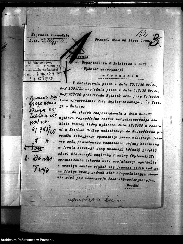 Obraz 16 z jednostki "Nosacizna - Żnin"