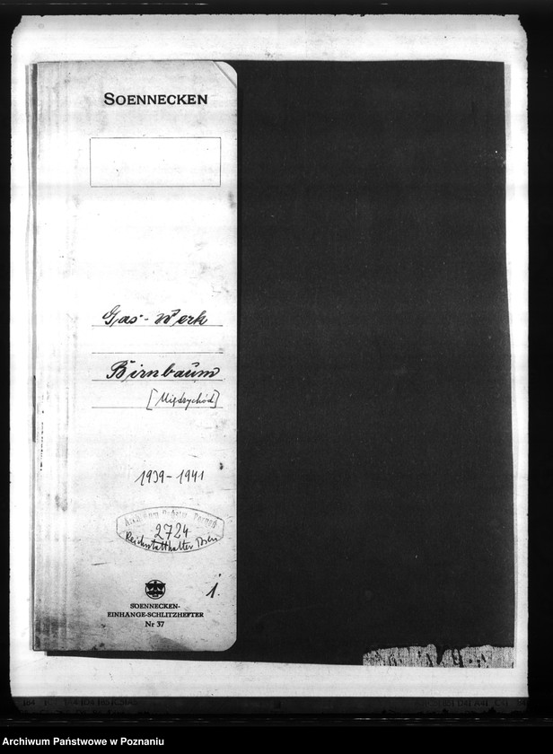 Obraz 4 z jednostki "Gaswerk - Birnbaum (Międzychód)"