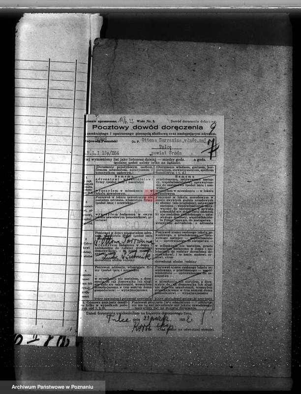 Obraz 13 z jednostki "Nadzór nad gospodarką w lasach majętności Tulce powiat średzki"