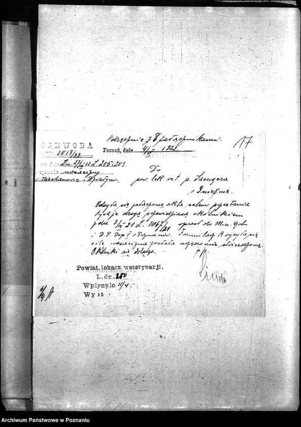 Obraz 20 z jednostki "Nosacizna - Witkowo"