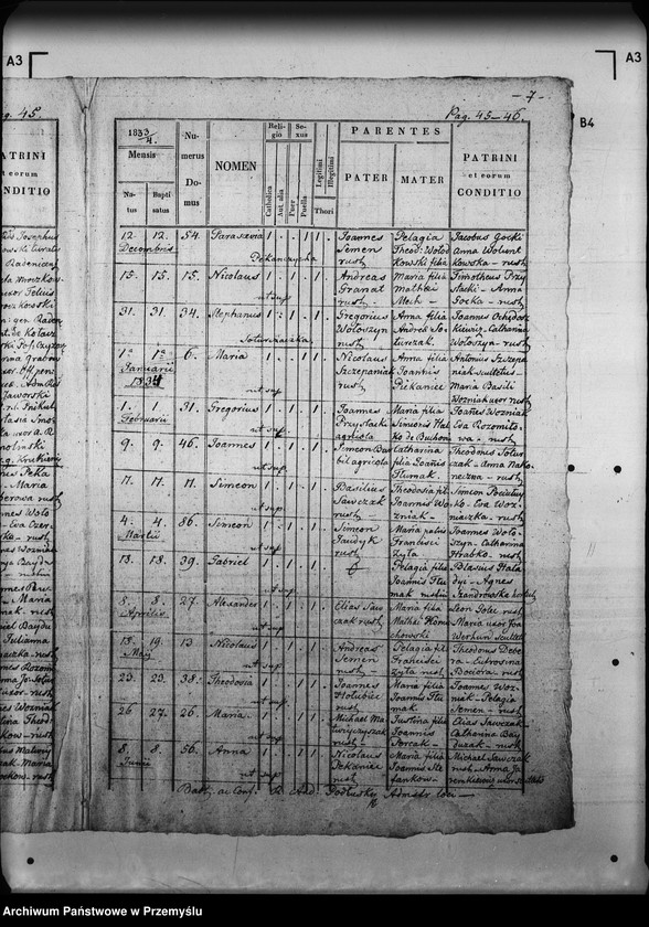 Obraz 11 z jednostki "[Kopie ksiąg metrykalnych parafii Radenice z filiami Czyżowice, Podliski, Wiszenka (dekanat Mościska)]"