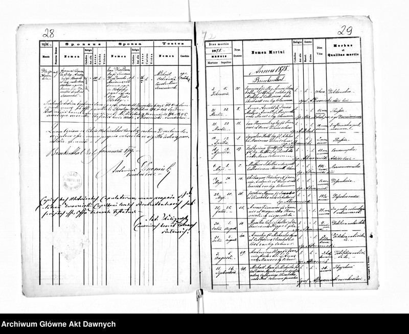 image.from.unit.number "Parafia: Bruckental. Dekanat: Bełz. Kopie z ksiąg metrykalnych ur., śl., zg. dla kolonii Bruckenthal (Bruckenthal i wsie: Choronów, Chlewczany, Domaszów, Ostobuż, Sałasze, Tehlów, Woronów)."