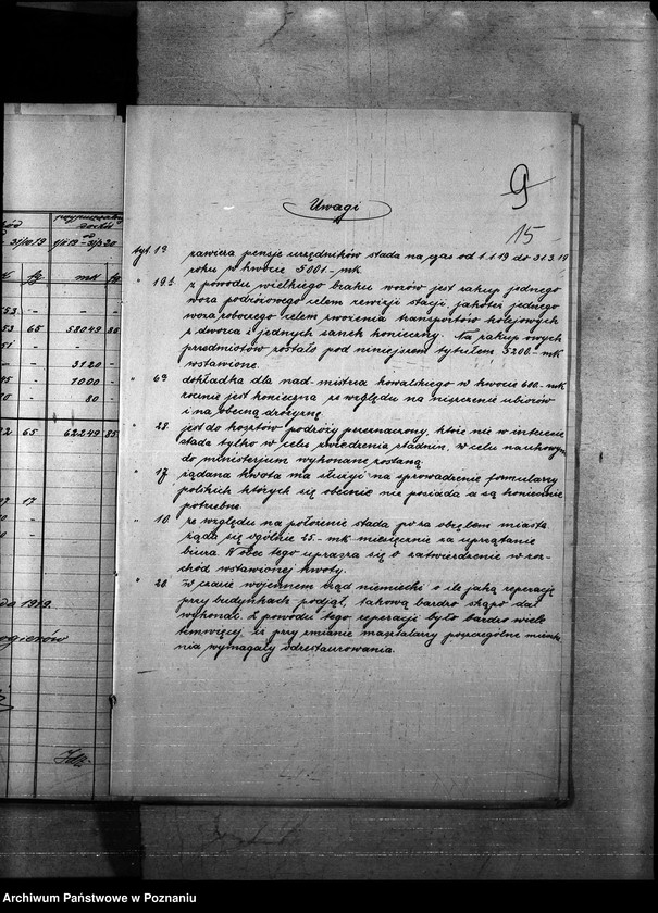 Obraz 19 z jednostki "Budżet Stadnin na rok 1921"