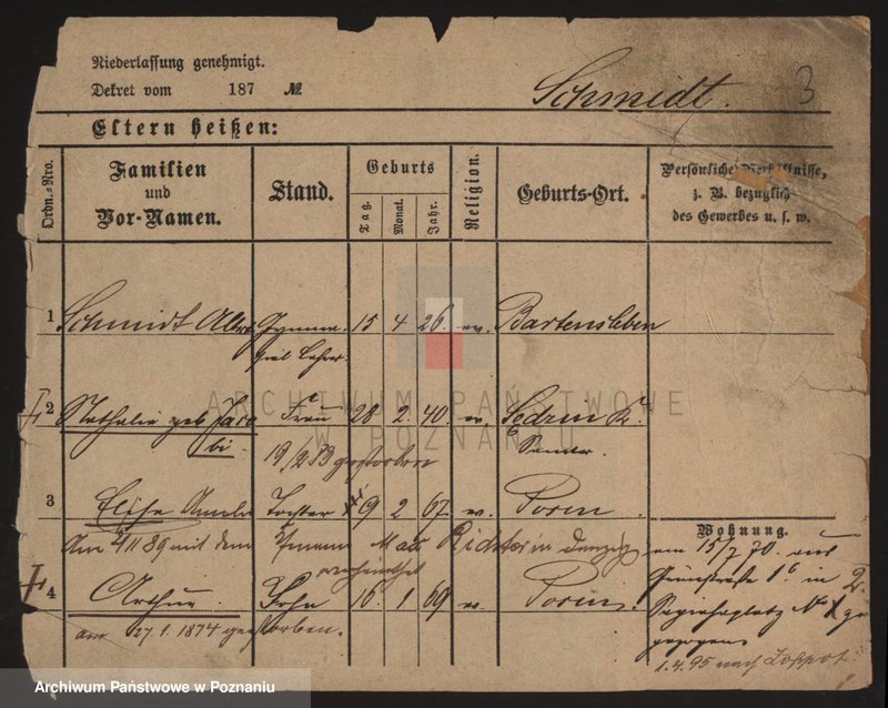 Obraz 9 z jednostki "Szmidt (żonaci)"