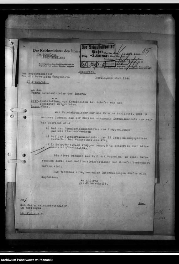 Obraz 19 z jednostki "Einfuhr von Karakulschafen aus den Besetzten Ostgebieten"