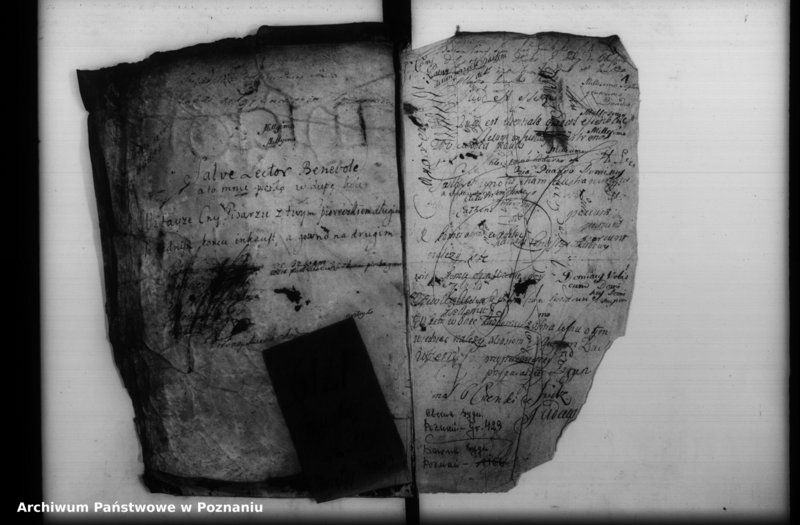 Obraz 3 z jednostki "Inscriptiones, resignationes [protocollon]"