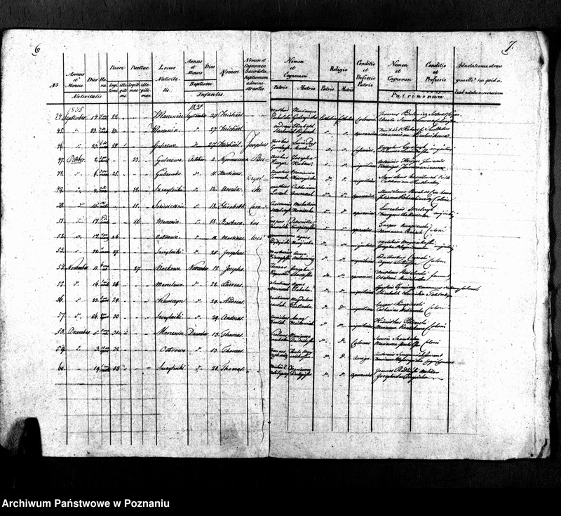 Obraz 6 z jednostki "Libri metrices baptisatorum, desponsatorum, mortuorum"