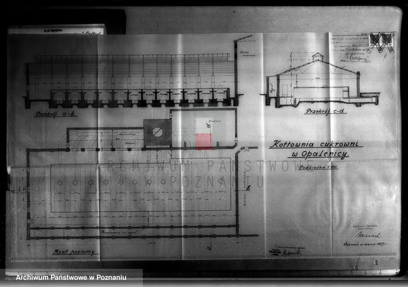Obraz 13 z jednostki "Cukrownia Opalenica Spółka Akcyjna, nr woj. 1597"