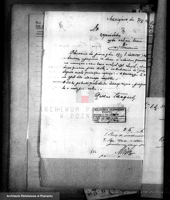 Obraz 10 z jednostki "Nadzór nad lasami majętności Maciejewo w powiecie czarnkowskim"