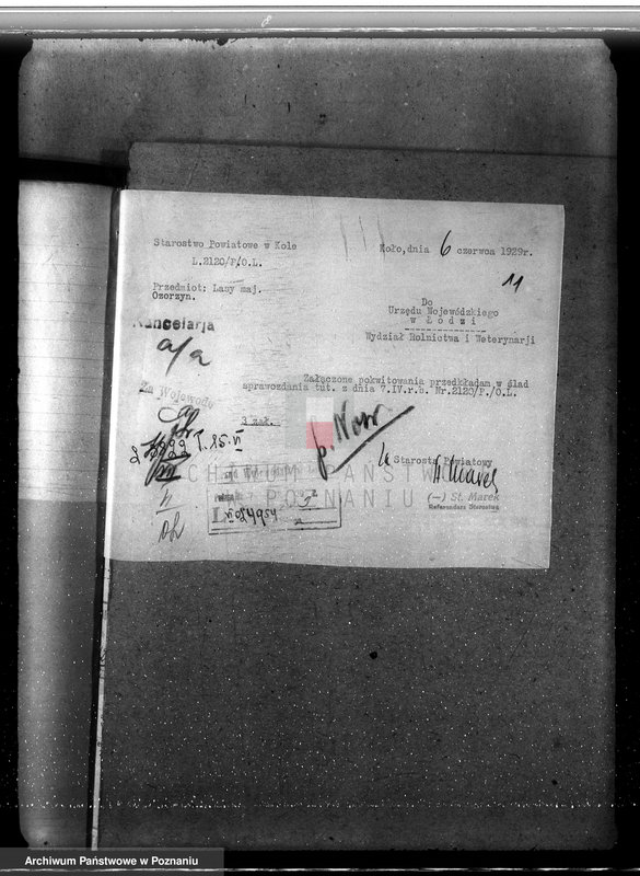 Obraz 14 z jednostki "Sprawa zmiany rodzaju użytkowania 25,47 ha gruntów leśnych w majątku Ozorzyn dla celów parcelacji powiat kolski"