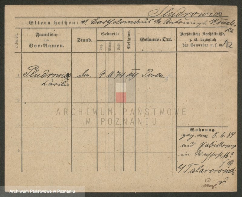 Obraz 12 z jednostki "Płudowski - Poczwardowski"