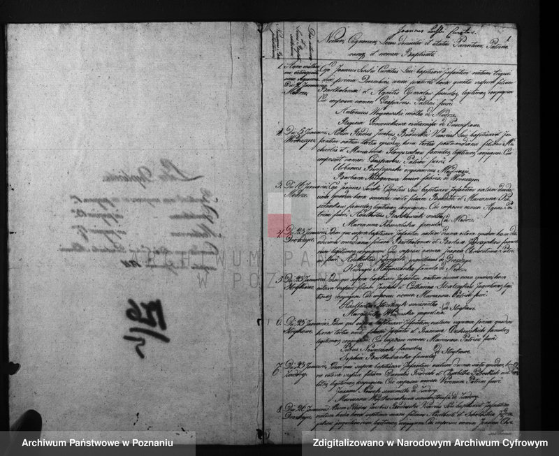 image.from.unit.number "Duplicatus baptisatorum, copulatorum, mortuorum"