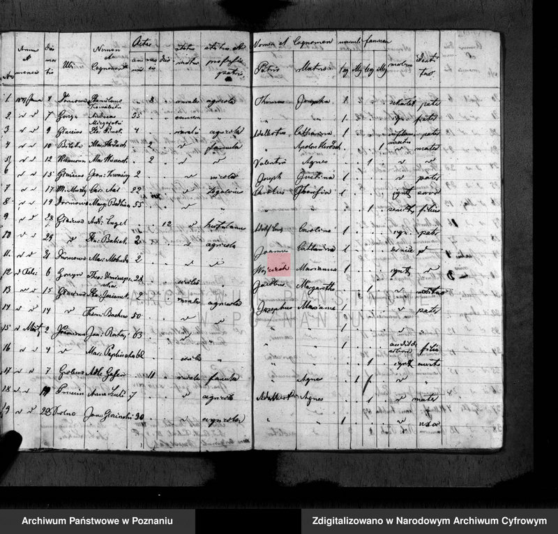 Obraz 11 z jednostki "Duplikat baptisatorum, copulatorum, mortuorum"