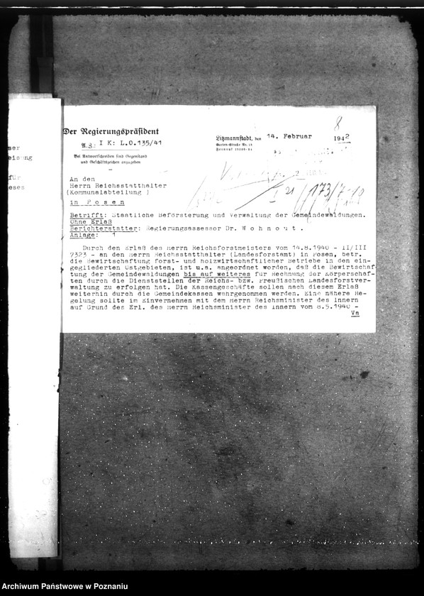 Obraz 12 z jednostki "Zarządzanie i gospodarowanie lasami gminnymi"