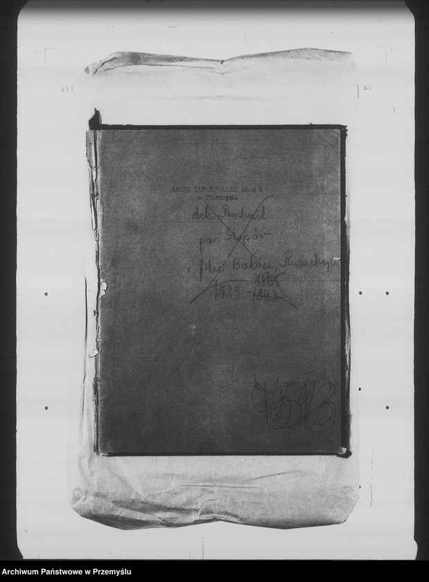 image.from.unit.number "[Kopie ksiąg metrykalnych parafii Skopów z filiami Babice, Ruszelczyce (dekanat Pruchnik)]"