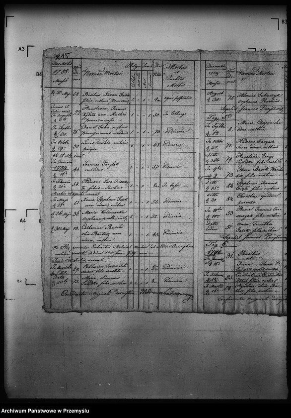 Obraz 19 z jednostki "[Kopie ksiąg metrykalnych parafii Powroźnik (dekanat Muszyna)]"