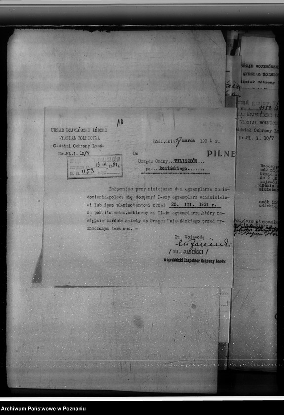 Obraz 14 z jednostki "Lasy majątku Brzeźno powiat koniński"