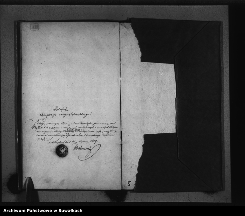 Obraz 6 z jednostki "Duplikat Aktów Zaślubionych, Urodzonych i Zmarłych Filiponów w Gminie Hołny Wolmerowskie na rok 1859"