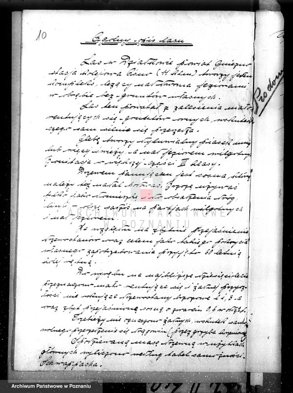 Obraz 14 z jednostki "Nadzór nad gospodarką w lasach majątku Dziadkowo powiecie gnieźnieńskim"