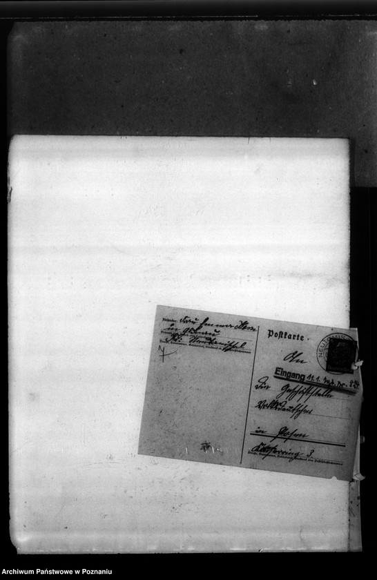 Obraz 11 z jednostki "Artur Kern aus Glinau, Kreis Neutomischel (Nowy Tomyśl)"