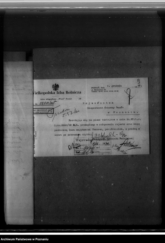 Obraz 13 z jednostki "Majętność leśna Zborowo powiat poznański"