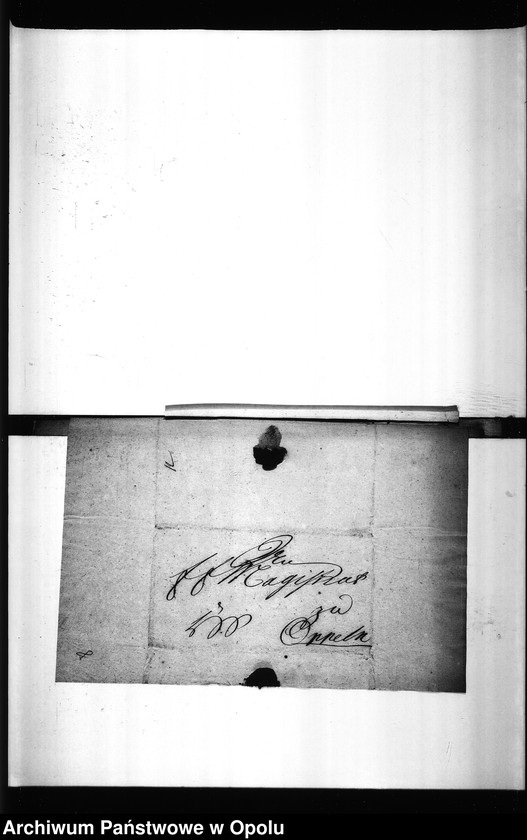 Obraz 11 z jednostki "Acta des Magistrats zu Oppeln von den hiesigen Cram-Woll-Vieh und Wochenmärckten"